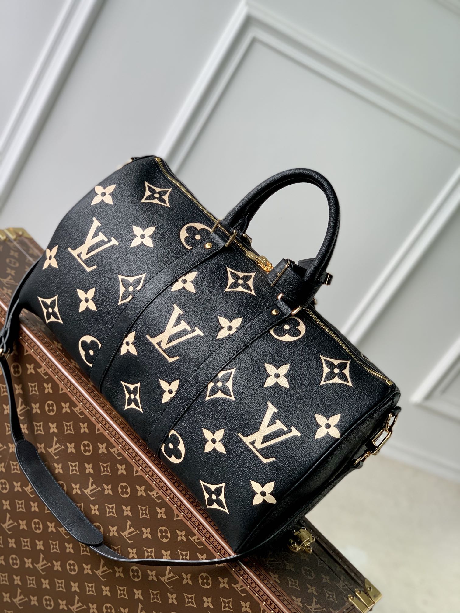 LV Travel Bags